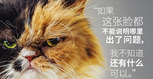 治療貓咪（mī）拉肚子的小妙招