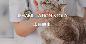 附近的寵物醫（yī）院要注重技術和服務的專業性