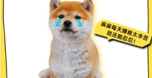 狗狗試紙測試一（yī）深一淺是細小嗎（ma）？