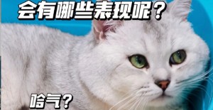 貓咪吃了瓜子殼幹嘔（ǒu）怎麽辦？